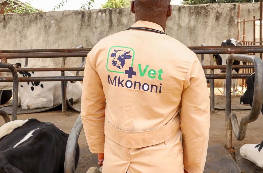Cover image for The New Life-line for Kenyan Veterinary Practice