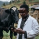 vet-using-app